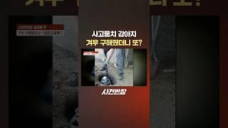사고뭉치 강아지 겨우 구해줬더니 또? #제보는 #사건반장 #shorts #사고뭉치 #강아지 #구덩이 #구조 #으르렁 #구출 #또