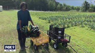 Renewed effort to increase amount of Black farmers in Minnesota