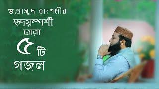 ড.মাসুদ হাশেমীর হৃদয়স্পর্শী সেরা ৫টি গান ২০২৩ ll Masud Hashmee Official ll 2023