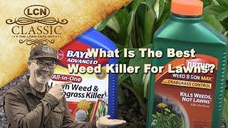 What Is The Best Weed Killer For Lawns | Best Weed Control