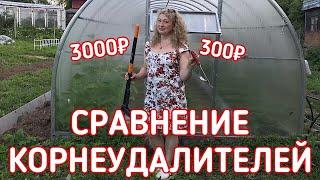 СРАВНИВАЮ КОРНЕУДАЛИТЕЛЬ FISKARS ЗА 3000₽ И ДЕШЁВЫЙ КОРНЕУДАЛИТЕЛЬ ЗА 300₽ | СТОИТ ЛИ ПЕРЕПЛАЧИВАТЬ?