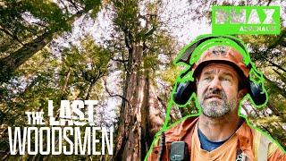 Baumhohe Schulden | The Last Woodsmen – Holzfäller am Limit | GANZE FOLGE | DMAX Adrenalin