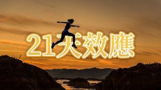 21天效應：培養一個新的好習慣只需21天 |《歪。短篇》第10集