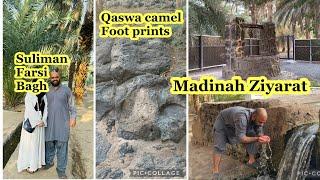 Madinah Ziyarat| Suliman Farsi Bagh| Ajwa Bagh| Masjide Noor| Qaswa foot prints