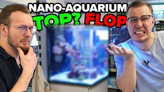 MEISTERWERK oder FEHLGRIFF? - Das NANO-Aquarium heute!