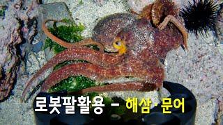 아이티원샵 수드론할배 수중드론 FIFISH V6 EXPERT(파이피쉬V6E) / 로봇팔활용 수중작업 - 어패류