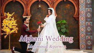 Afghani Wedding part 2/مراسم عروسی افغانی /عروسی پروین صمدی با محمود امیری