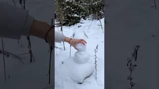 How to Make a Snowman ️ #shorts #christmas #winter #snow #snowman