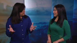 Honolulu Board of Realtors talks Hawaii home-buying trends