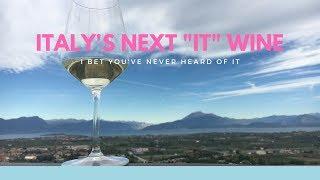 This is Why Lugana Wine is Italy’s Next “It” Wine Region - Wine Oh TV