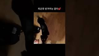 이맛에 퇴근한다 #shorts