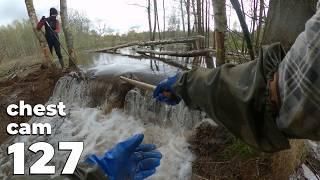 Manual Beaver Dam Removal No.127 - Chest Cam