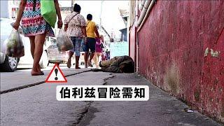 如果哪天想不开来伯利兹旅游，请收好这10点保命建议