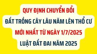 Quy Định Chuyển Đổi Đất Trồng Cây Lâu Năm Lên Thổ Cư Mới Nhất 2025 - Luật Đất Đai 2025