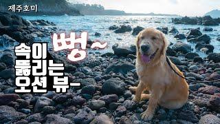 [호미와 랜선산책] (4k) 제주도 자구리공원