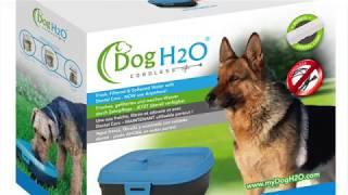 Dog H2O Cordless - Quick Startup Guide (DH025)