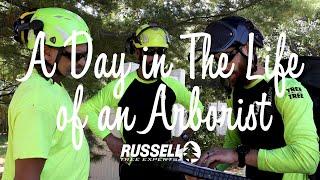 A Day in the Life of an Arborist I Russell Tree Experts