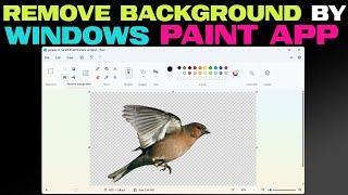 Remove Background from Picture by Paint App in Windows
