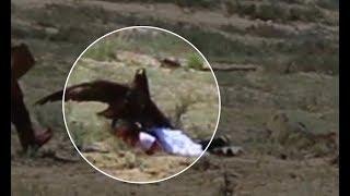 Golden eagle attacks 8 yo girl at ethnofestival in Kyrgyzstan