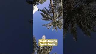 Good morning  | Saudi Arabia  #saudiarabia #ksa #shortsfeed #ytshorts