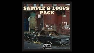 *free* SAMPLE & LOOPS PACK - VINTAGE - ROC MARCIANO, THE ALCHEMIST, LARRY JUNE, J COLE I | "2024"