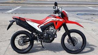 Rodolfinho da Z- Testando HONDA XR 300 L TORNADO 2025