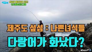 #제주도낚시#긴꼬리벵에돔#fishing [벵에돔낚시] 제주도 섶섬 다녀왔어요!!드랙조절은 필수 입니다!!