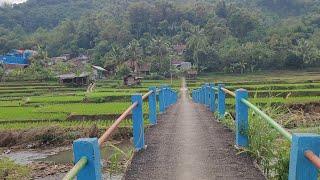 Stres Hilang Seketika Melihat Surganya Kampung Paling Subur Di Sumedang, Suasana Damai Dan Tentram