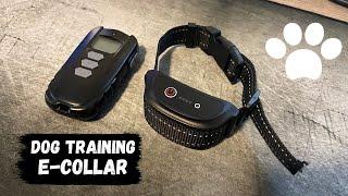 Dog Training E-Collars...How and Do they work?