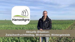 Aktuelle Situation: Zwischenfruchtfeldtag, Winterraps, Wintergetreide