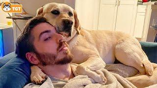 When Your Dog Is King Of The House...  Funny Dog And Human #1