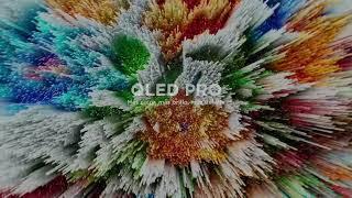 TCL QLED TV | Serie Q651G