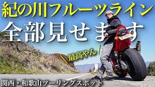 紀の川フルーツライン全線見せます！バイクソロツーリング【関西・和歌山ツーリングおすすめスポット】#モトブログ #ツーリング