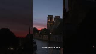 Paris Notre Dame #Paris #notredame  #france #sunset