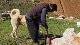 A Life Alone at 1900 Altitude – Mustafa Sarı’s Plateau Story |4K|