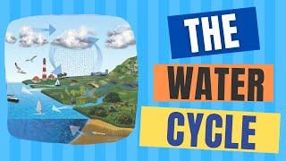 What is the Water Cycle?