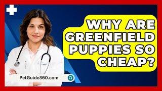 Why Are Greenfield Puppies So Cheap? - PetGuide360.com