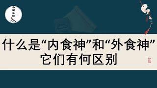 什么是“内食神”和“外食神”，它们有何区别