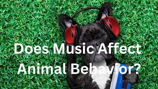 Does Music Affect Animal Behavior?