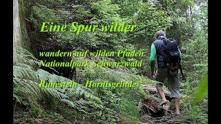 "Eine Spur wilder!" Wandern auf wilden Pfaden im Nationalpark Schwarzwald: Ruhestein - Hornisgrinde