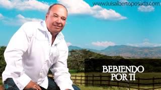 Luis Alberto Posada - Bebiendo Por Tí (Audio Oficial)