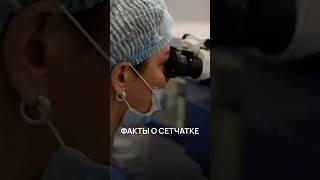 5 фактов о сетчатке