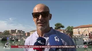 TVCM FishMarche(t) Senigallia