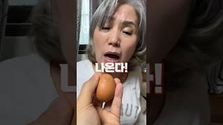 병아리 부화하는 순간 엄마 보여드렸더니ㅋㅋㅋ #정선호 #shorts #egg