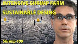 INTENSIVE SHRIMP FARM DESIGN AND EFFLUENT MANAGEMENT #09 | #FISH