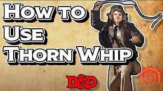 How to Use Thorn Whip: DnD Spells #30