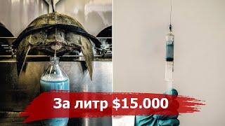 15000$ за литр крови или как Мечехвосты спасают человечество