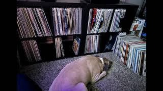DIY Vinyl Record Storage - IKEA Kallax Shelf