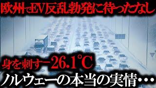 北欧、悲劇の涙ww「トヨタの策略が一枚上手だった…」 EVの普及でトヨタが莫大な利益を得る、そのあまりにも当たり前な理由は…【ゆっくり解説】