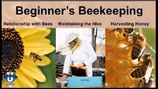 Beginners Beekeeping with Shafeeqa Small